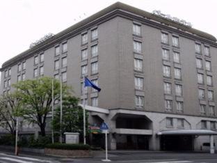Pearl Hotel Mizonokuchi Kawasaki  Oda fotoğraf